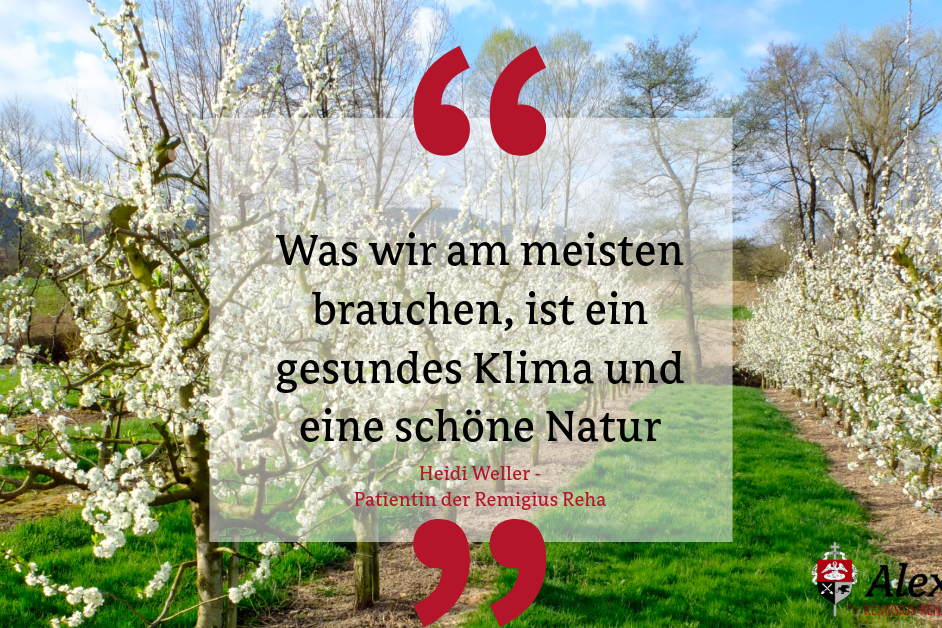 Bäume als Dankeschön für die Behandlung.