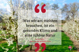 Bäume als Dankeschön für die Behandlung.